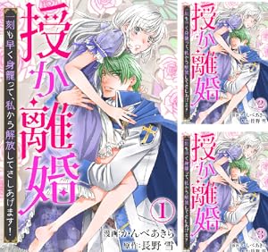 旦那サマ、そろそろ離婚しませんか Ⅴ 含む39冊 旦那サマ、そろそろ離婚しませんか？Ⅴ（秋水デジタルコミックス